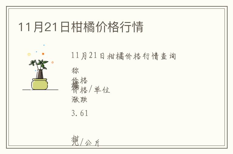 11月21日柑橘價格行情