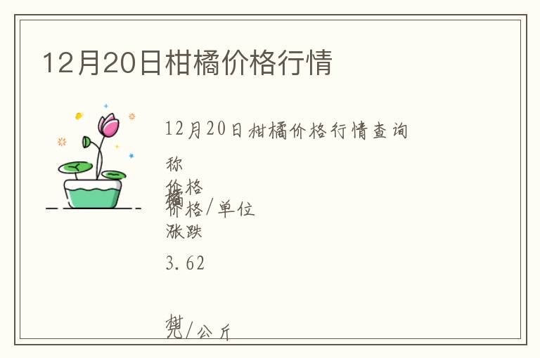 12月20日柑橘價格行情