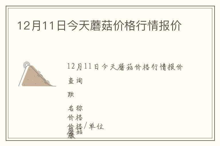 12月11日今天蘑菇價格行情報價