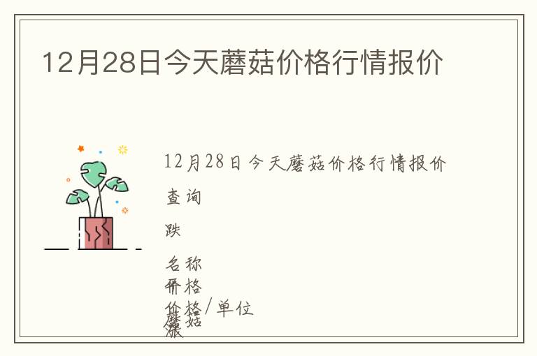 12月28日今天蘑菇價格行情報價