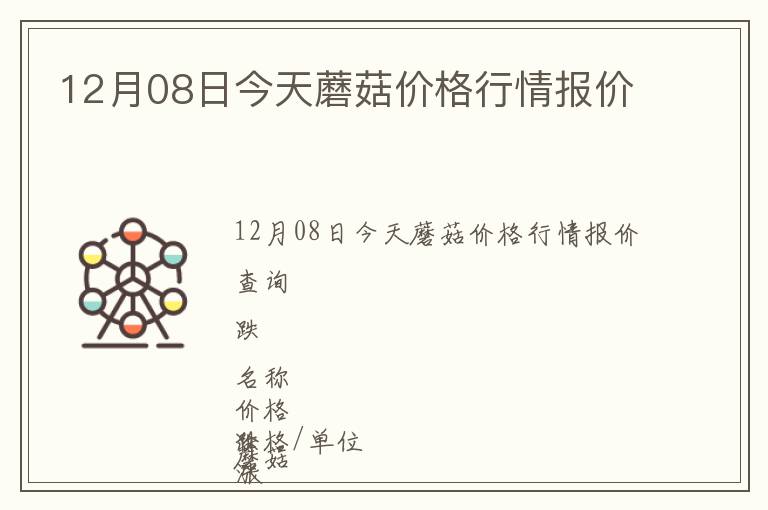 12月08日今天蘑菇價格行情報價