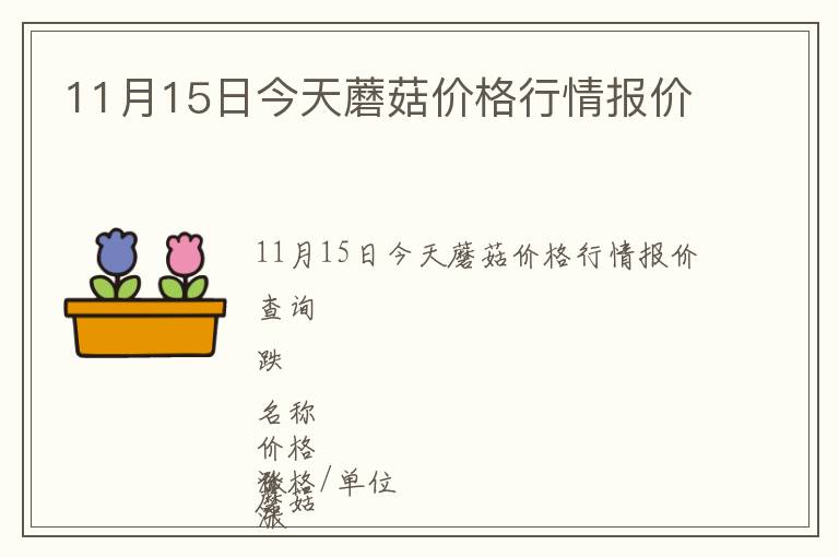 11月15日今天蘑菇價格行情報價