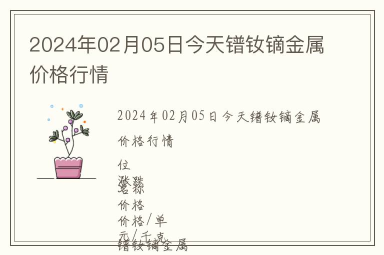 2024年02月05日今天鐠釹鏑金屬價格行情