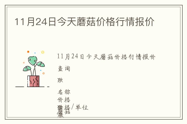 11月24日今天蘑菇價(jià)格行情報(bào)價(jià)