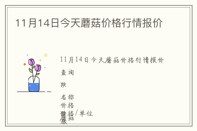 11月14日今天蘑菇價格行情報價