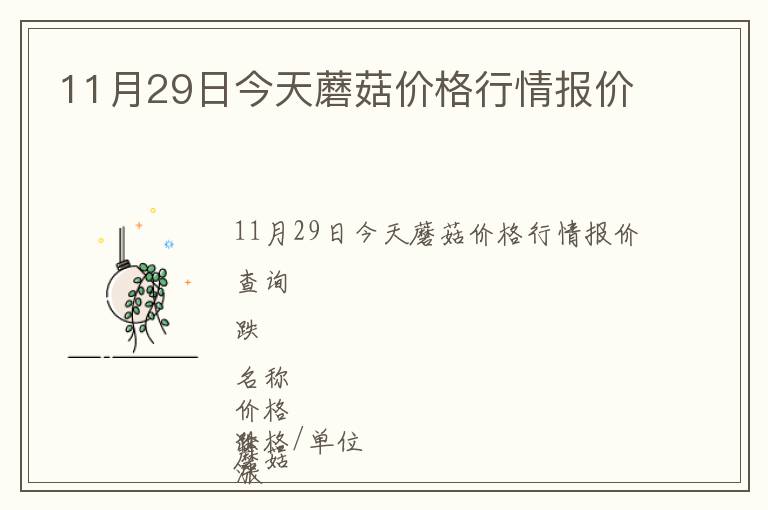 11月29日今天蘑菇價格行情報價