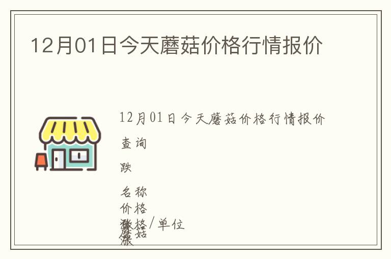 12月01日今天蘑菇價格行情報價