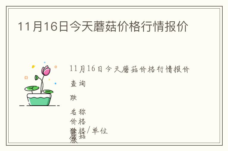 11月16日今天蘑菇價格行情報價