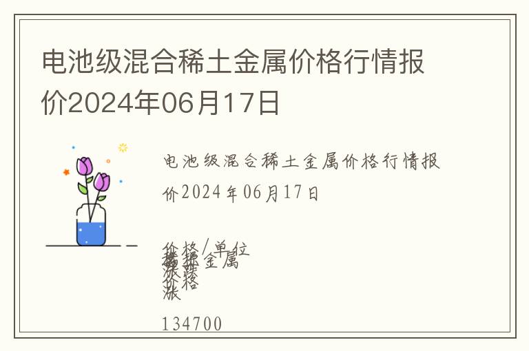 電池級(jí)混合稀土金屬價(jià)格行情報(bào)價(jià)2024年06月17日