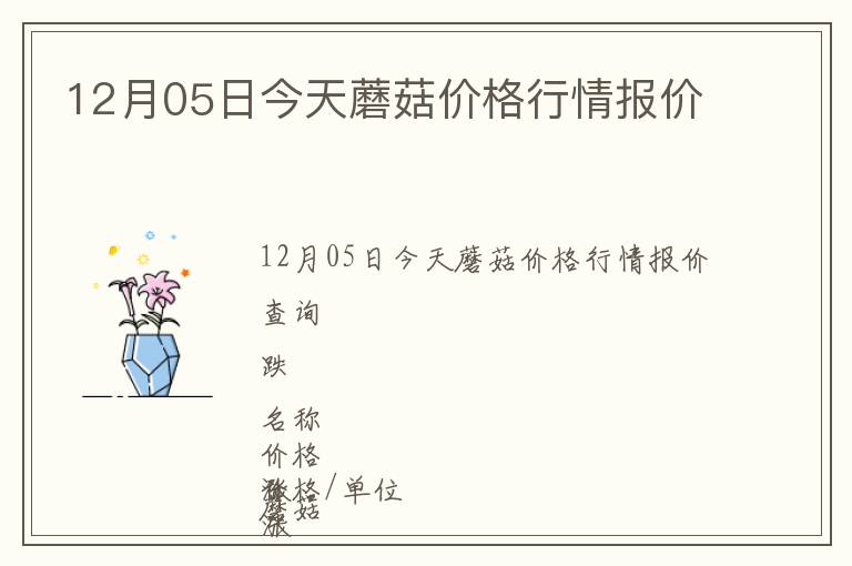 12月05日今天蘑菇價格行情報價