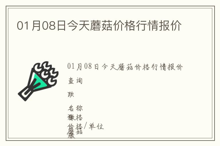 01月08日今天蘑菇價格行情報價