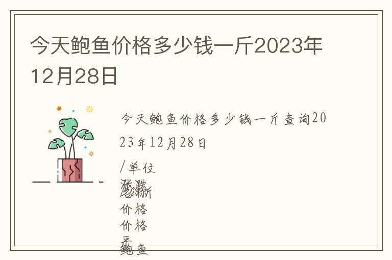 今天鮑魚價格多少錢一斤2023年12月28日