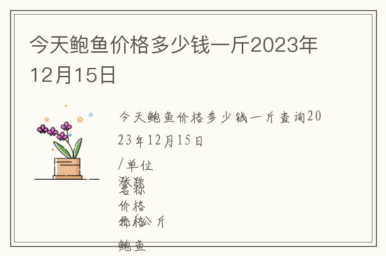 今天鮑魚價格多少錢一斤2023年12月15日