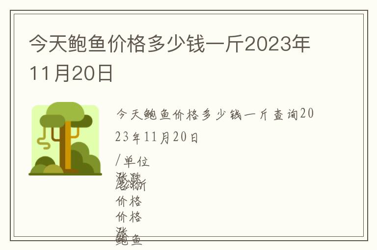 今天鮑魚價格多少錢一斤2023年11月20日