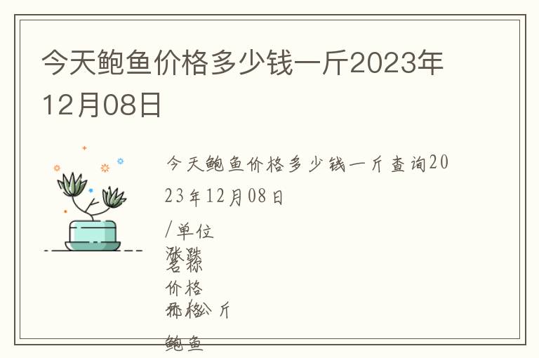 今天鮑魚價格多少錢一斤2023年12月08日