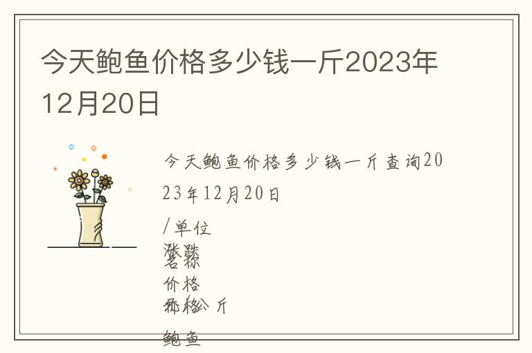 今天鮑魚(yú)價(jià)格多少錢(qián)一斤2023年12月20日