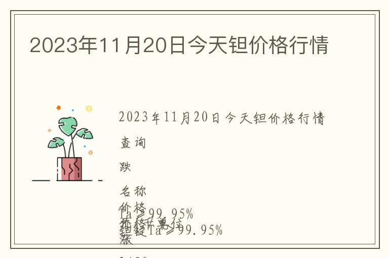 2023年11月20日今天鉭價格行情