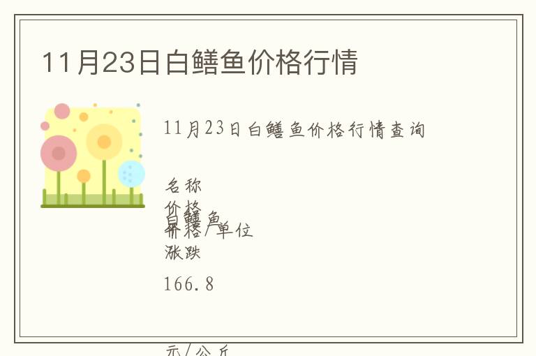 11月23日白鱔魚價格行情