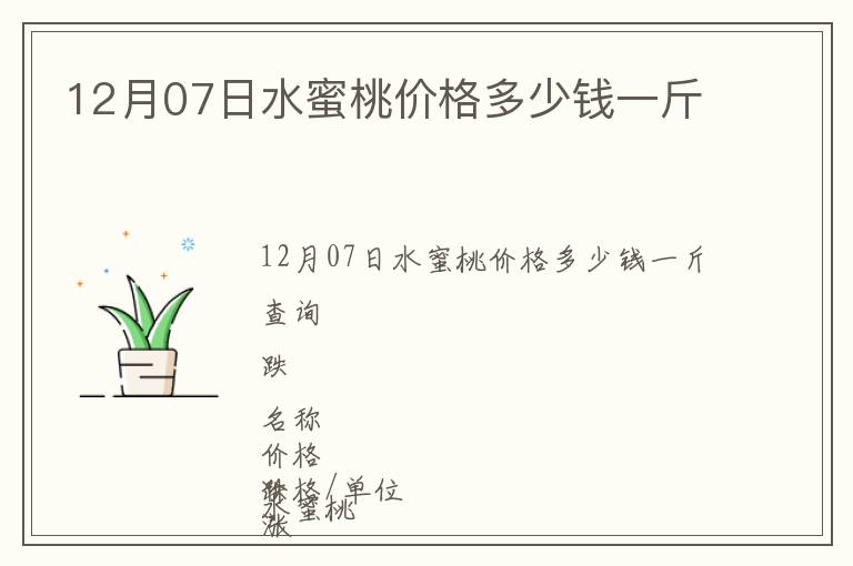 12月07日水蜜桃價格多少錢一斤