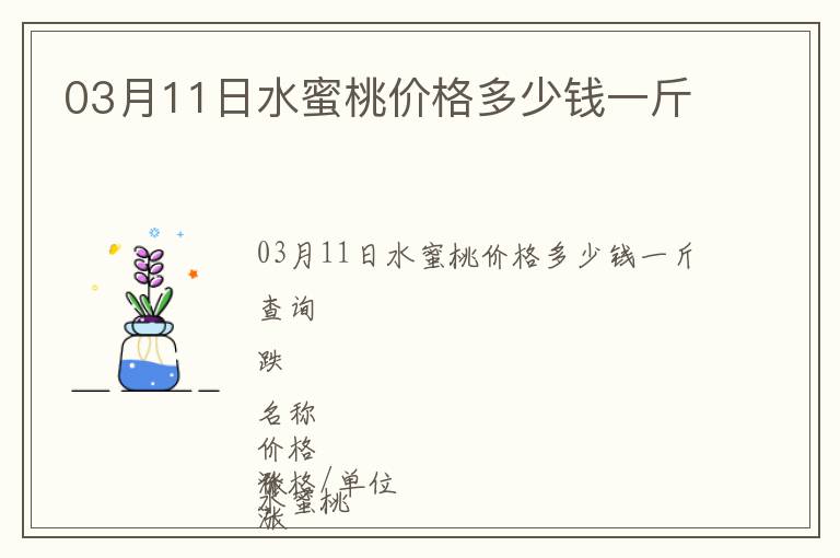 03月11日水蜜桃價格多少錢一斤