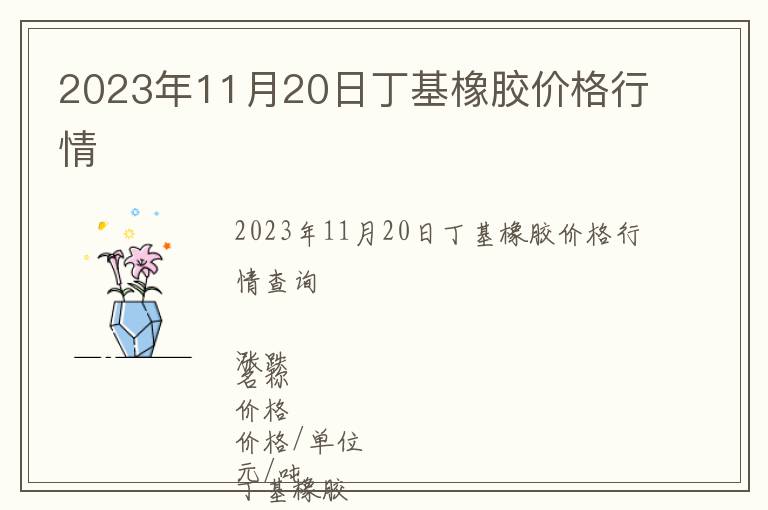 2023年11月20日丁基橡膠價(jià)格行情