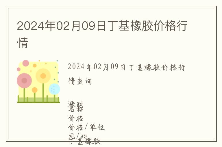 2024年02月09日丁基橡膠價格行情