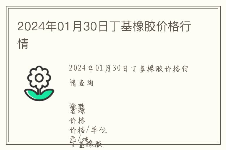 2024年01月30日丁基橡膠價(jià)格行情