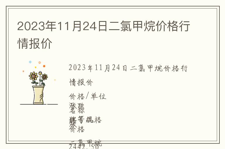 2023年11月24日二氯甲烷價格行情報價