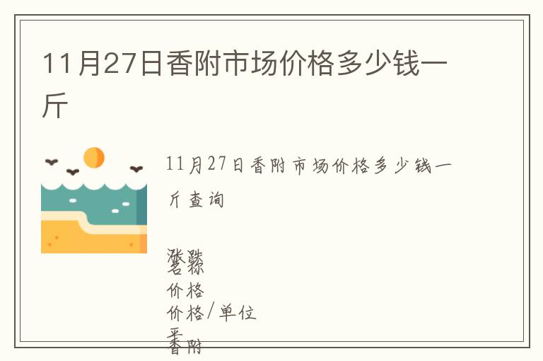 11月27日香附市場價格多少錢一斤