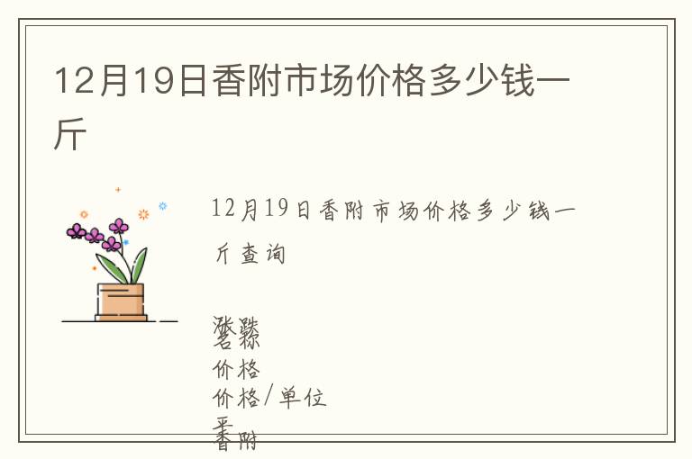 12月19日香附市場價格多少錢一斤