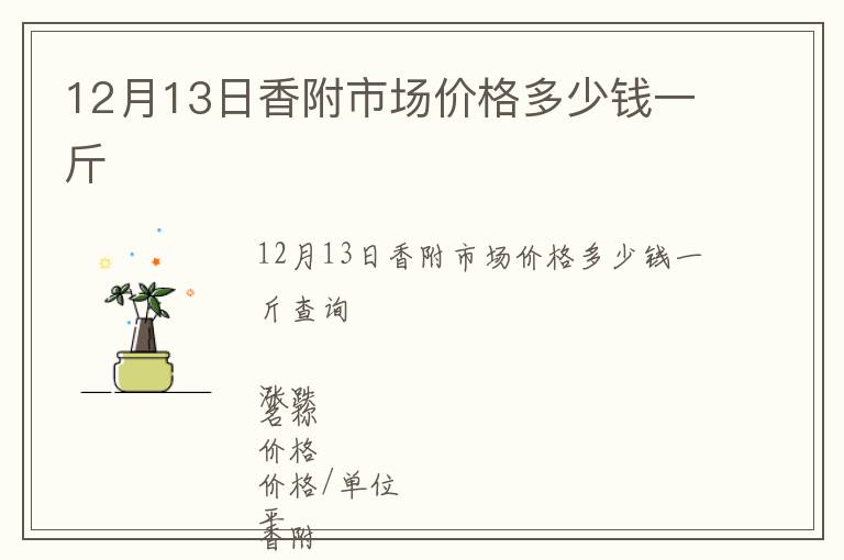 12月13日香附市場價格多少錢一斤