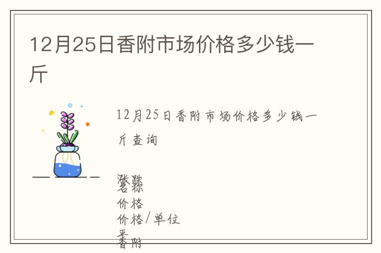 12月25日香附市場價格多少錢一斤