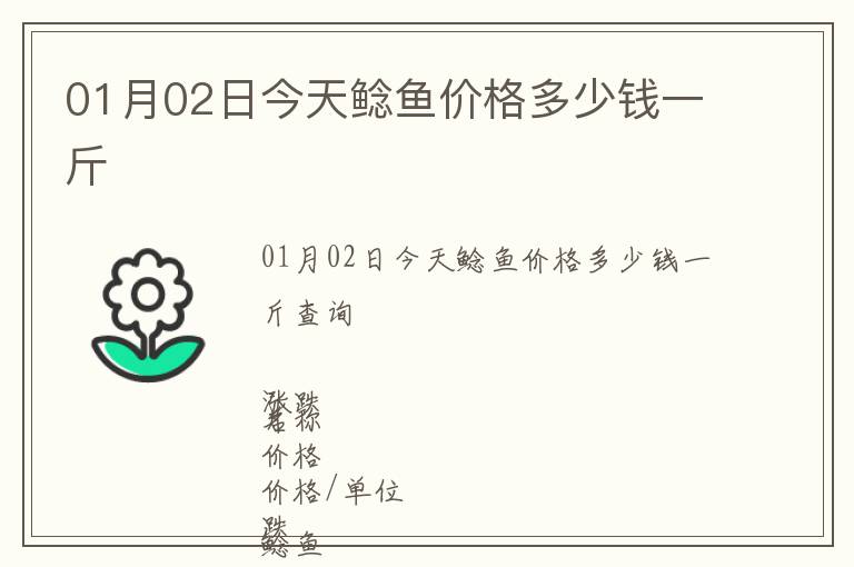 01月02日今天鯰魚價格多少錢一斤