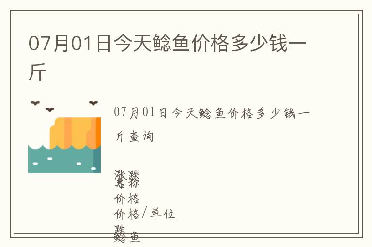 07月01日今天鯰魚價格多少錢一斤