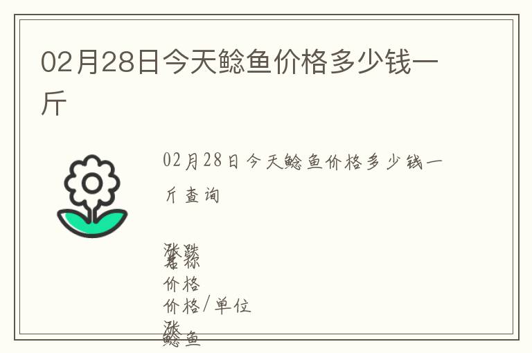 02月28日今天鯰魚價格多少錢一斤