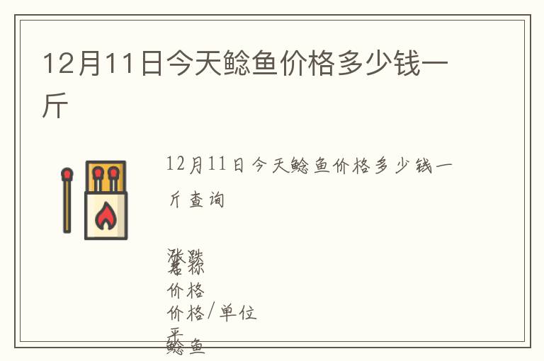 12月11日今天鯰魚價格多少錢一斤