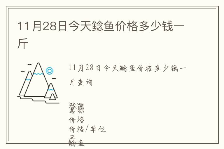 11月28日今天鯰魚價格多少錢一斤