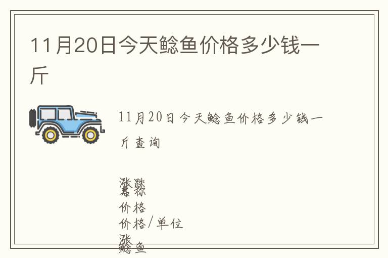 11月20日今天鯰魚價格多少錢一斤