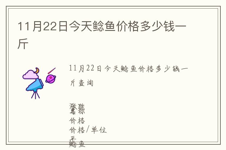 11月22日今天鯰魚價格多少錢一斤