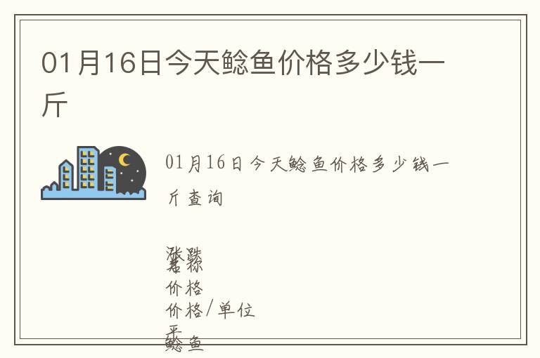 01月16日今天鯰魚價格多少錢一斤