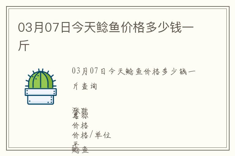 03月07日今天鯰魚價格多少錢一斤