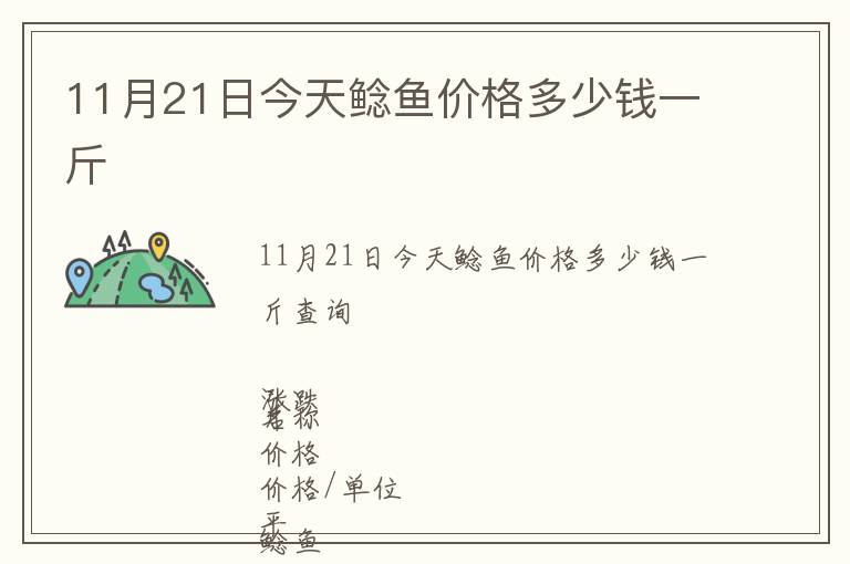 11月21日今天鯰魚價格多少錢一斤