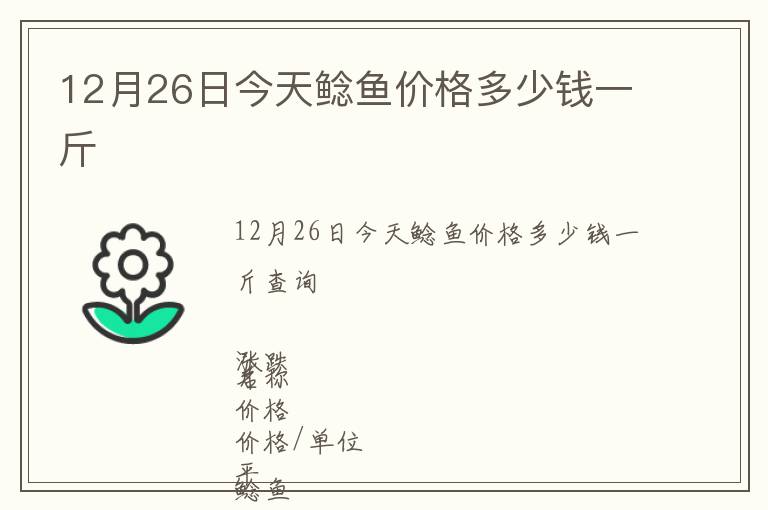 12月26日今天鯰魚價格多少錢一斤