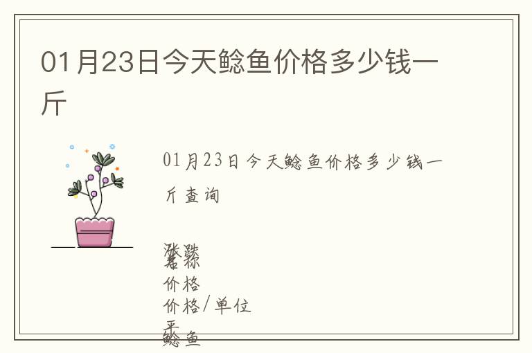 01月23日今天鯰魚(yú)價(jià)格多少錢(qián)一斤