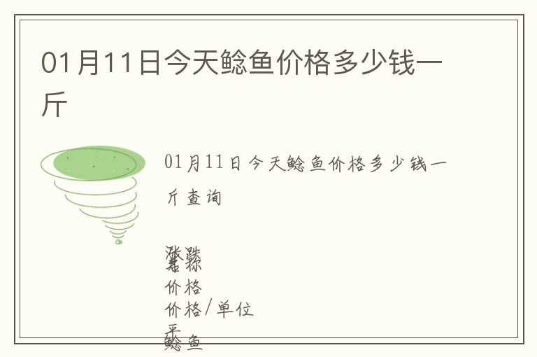 01月11日今天鯰魚價格多少錢一斤