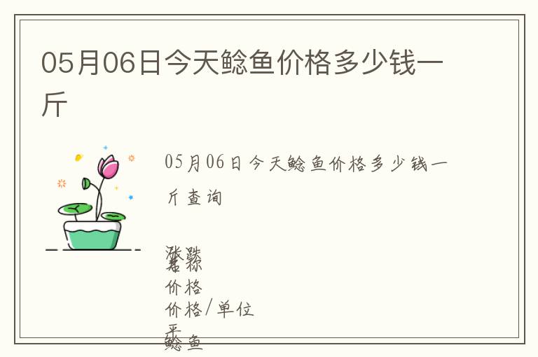 05月06日今天鯰魚價(jià)格多少錢一斤