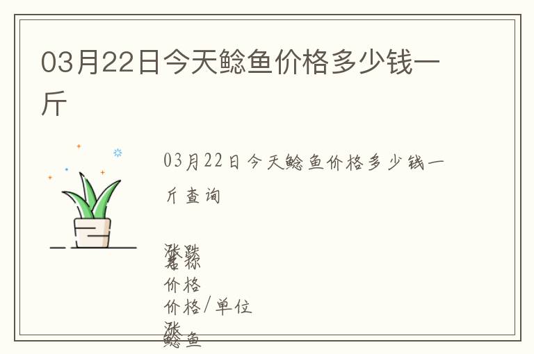 03月22日今天鯰魚價格多少錢一斤