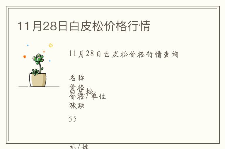 11月28日白皮松價格行情