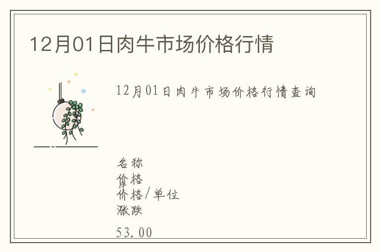 12月01日肉牛市場價(jià)格行情