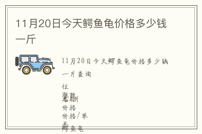 11月20日今天鱷魚龜價格多少錢一斤